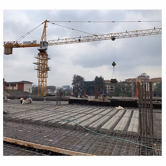  Nouvelle flèche de 65 m Max.  Chargez la grue à tour topless de 10 tonnes